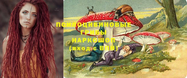 Альфа ПВП Аркадак