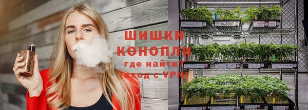 Альфа ПВП Аркадак