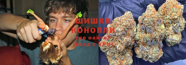 индика Нефтекумск